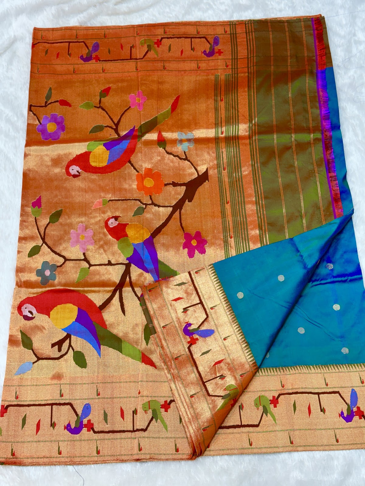 Parrot Peacock Border